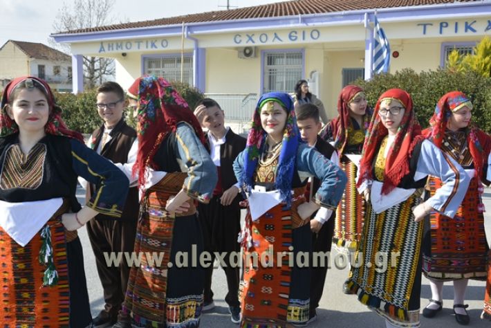 6himerida_georgias_trikala2018078