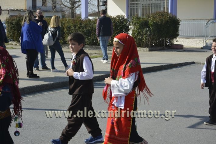 6himerida_georgias_trikala2018083