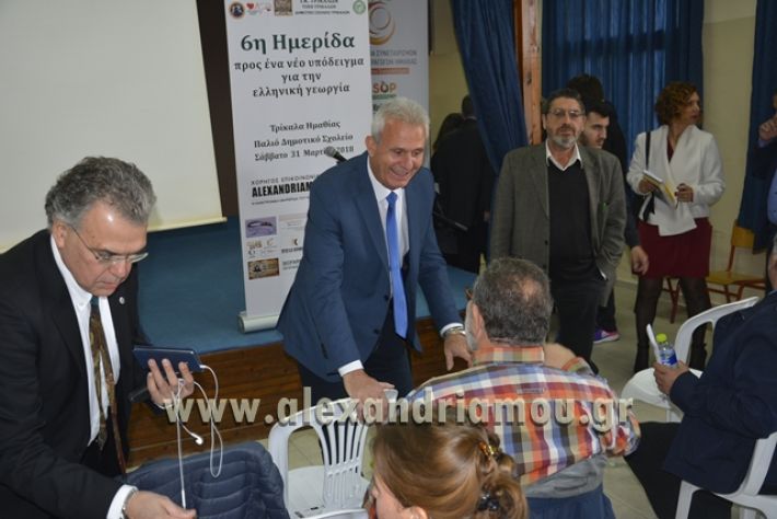 _6himerida_georgias_trikala2018004