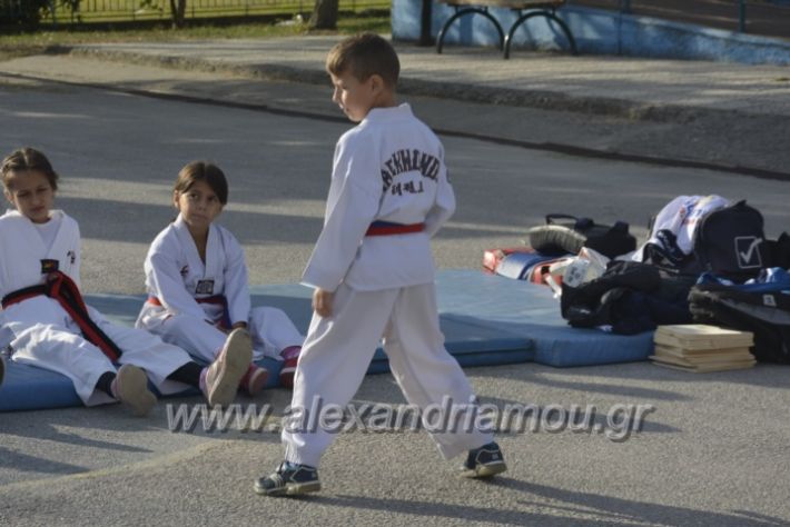 alexandriamou.gr_7_dimotiko29032
