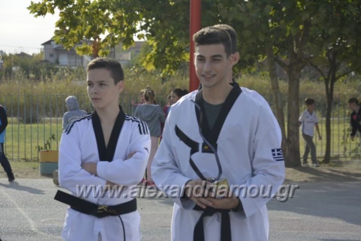 alexandriamou.gr_7_dimotiko29147