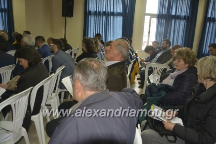 alexandriamou_7itrikala024