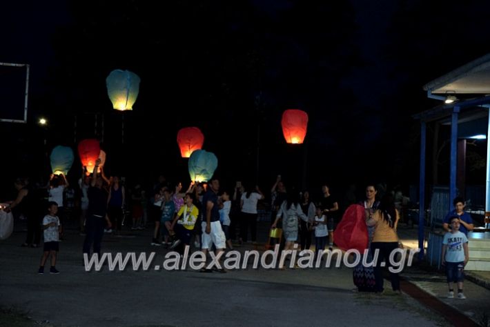 alexandriamou.gr_7odimapoxairetistrio2020DSC_0026