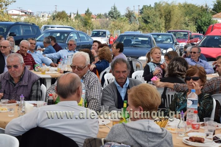 amarantos_tsipoyra_2017053