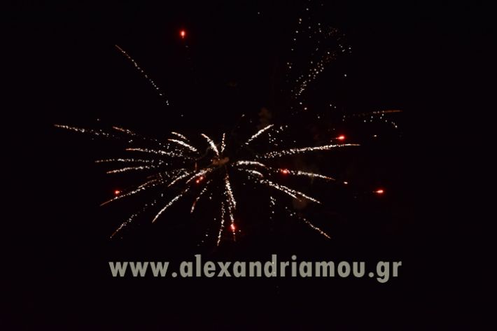 alexandriamou_ANASTASI2017111