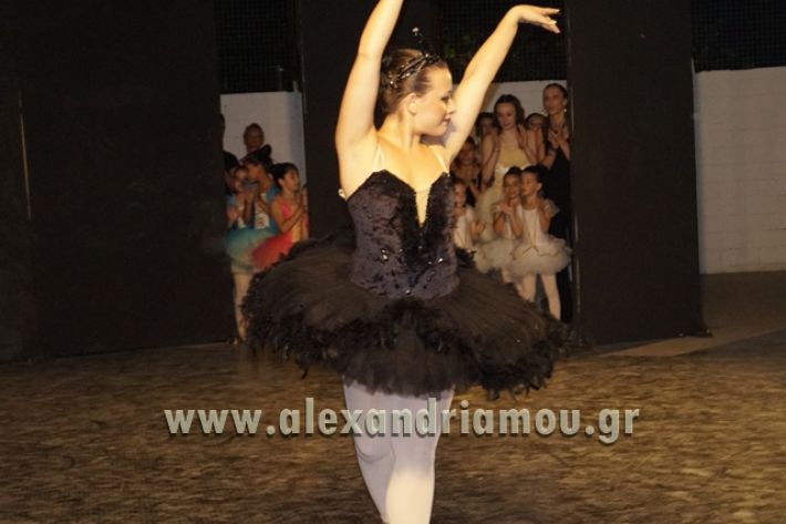 SXOLH_BLACK_SWAN012