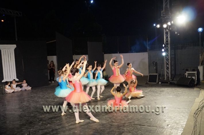 SXOLH_BLACK_SWAN032
