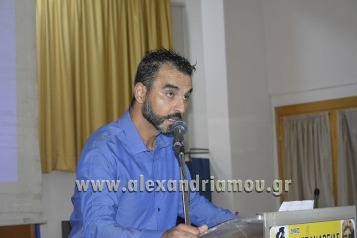 dislexia_paulidhs575