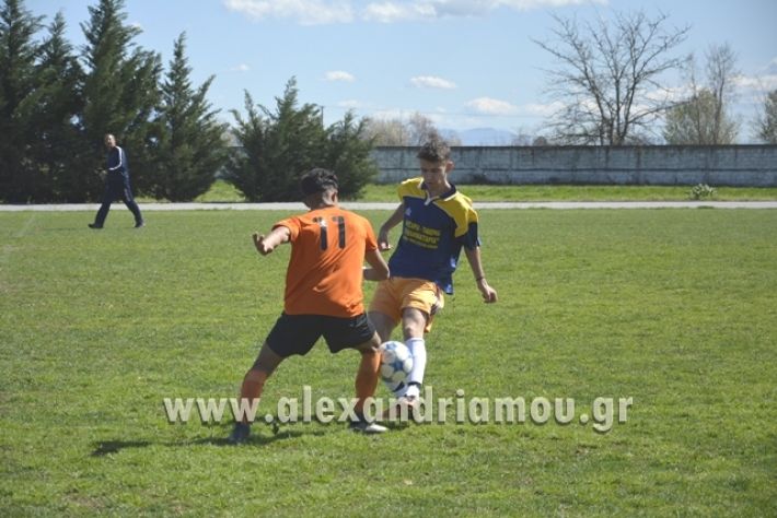 epal_1ogel233
