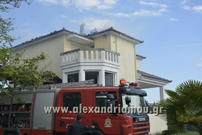 alexandriamou_FOTIA_KYDONIA037