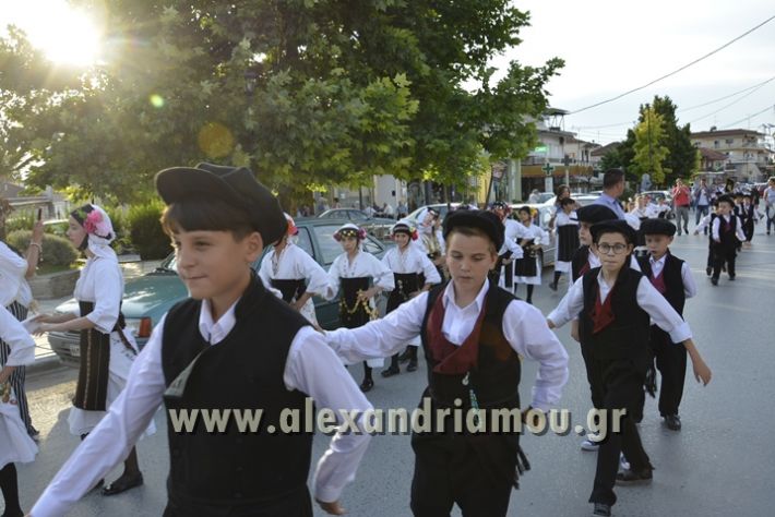 alexandriamou_MELIKI_PAIDIKO_FESTIBAL003