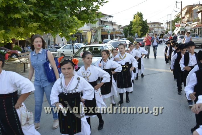 alexandriamou_MELIKI_PAIDIKO_FESTIBAL008