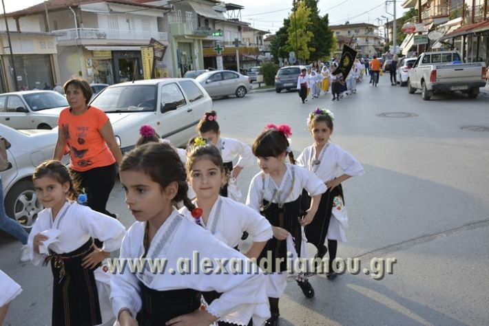 alexandriamou_MELIKI_PAIDIKO_FESTIBAL014