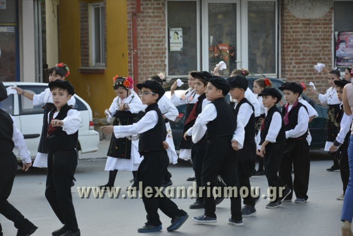 alexandriamou_MELIKI_PAIDIKO_FESTIBAL025