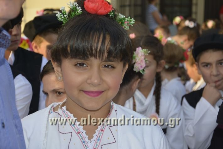 alexandriamou_MELIKI_PAIDIKO_FESTIBAL036