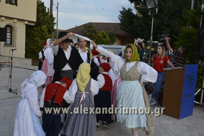 alexandriamou_MELIKI_PAIDIKO_FESTIBAL046