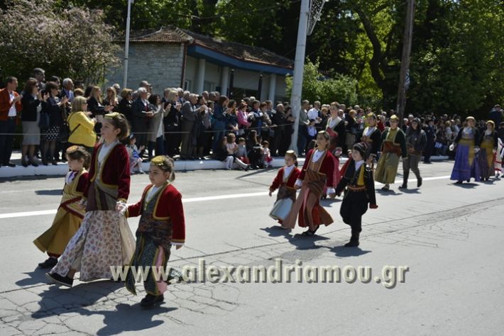 alexandriamou_olokautoma_naousas2017247