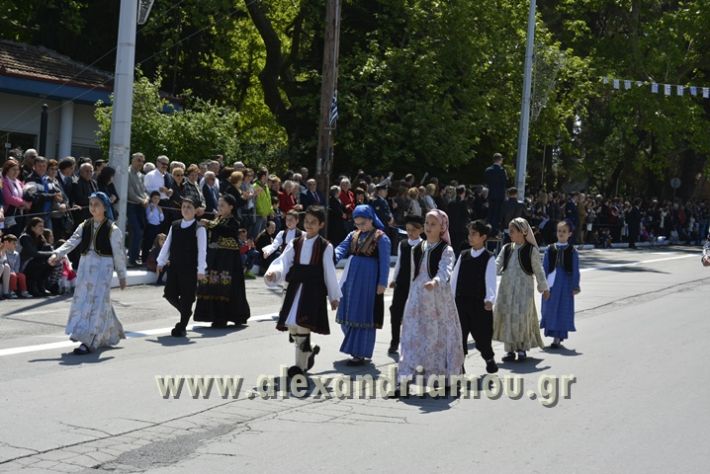 alexandriamou_olokautoma_naousas2017257