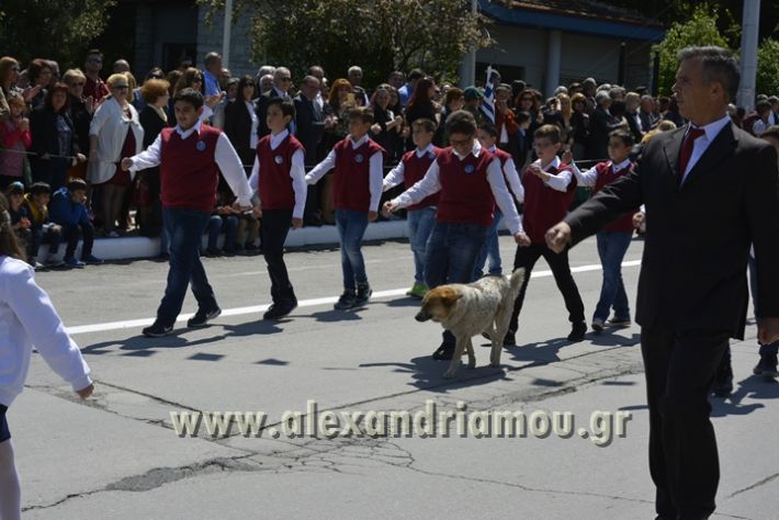 alexandriamou_olokautoma_naousas2017278