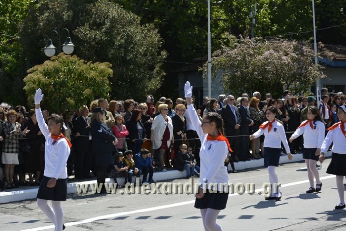 alexandriamou_olokautoma_naousas2017287