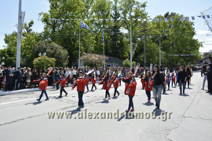 alexandriamou_olokautoma_naousas2017330