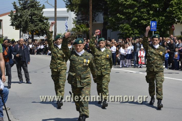 alexandriamou_olokautoma_naousas2017340