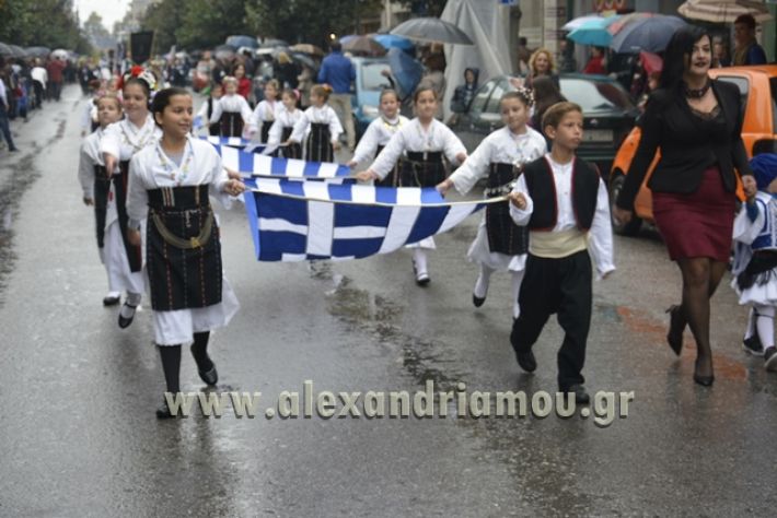 alexandriamou.gr_SULOGHPARELAS11015