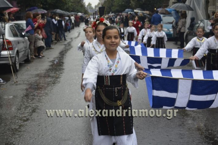 alexandriamou.gr_SULOGHPARELAS11019