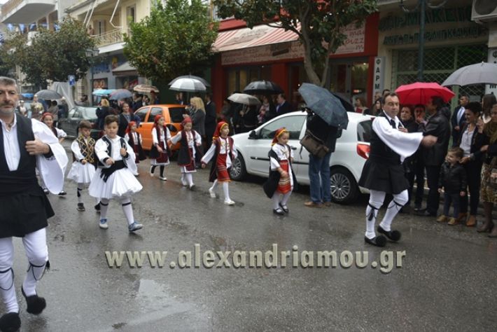 alexandriamou.gr_SULOGHPARELAS11044