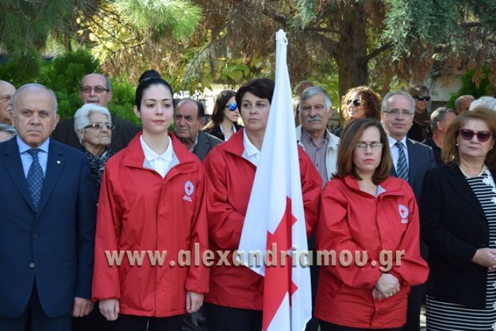 alexandriamou.gr_katathesi18031