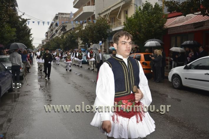 alexandriamou.gr_SULOGHPARELAS11003