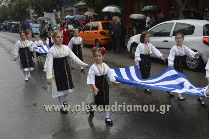 alexandriamou.gr_SULOGHPARELAS11028