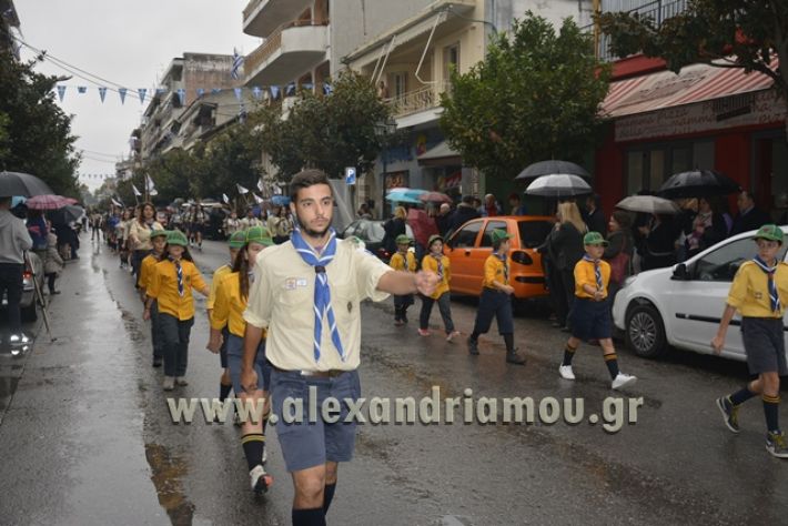 alexandriamou.gr_SULOGHPARELAS11098