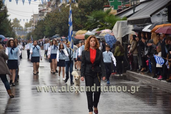 alexandriamou.gr_1parelasi1000019