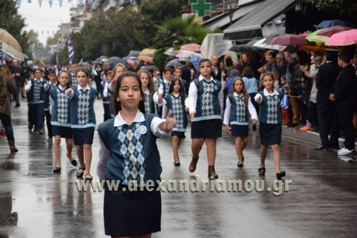 alexandriamou.gr_1parelasi1000046