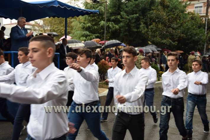 alexandriamou.gr_1parelasi1000078