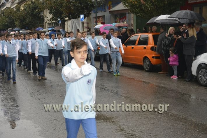 alexandriamou.gr_1parelasi1000140