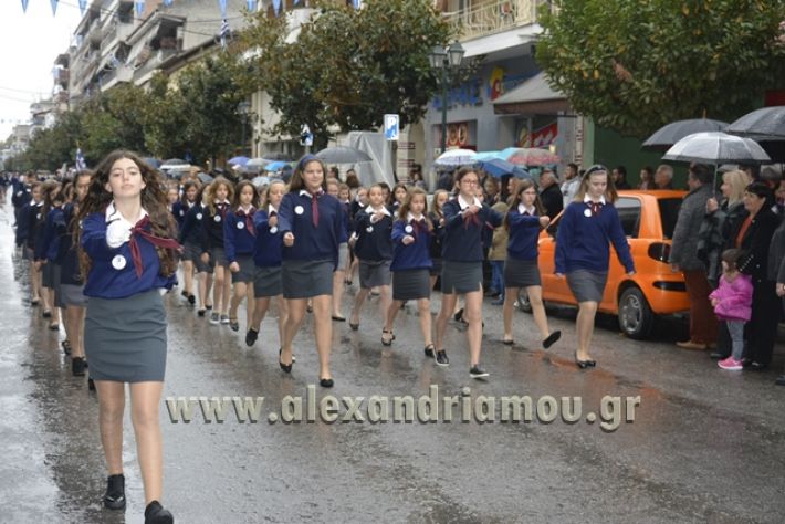 alexandriamou.gr_1parelasi1000149