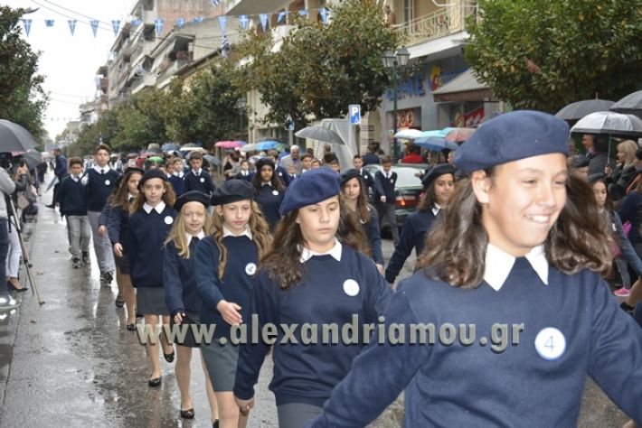 alexandriamou.gr_1parelasi1000157