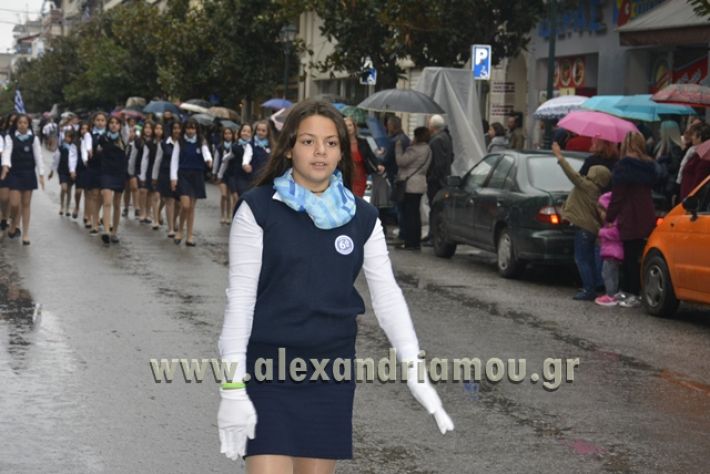 alexandriamou.gr_1parelasi1000165