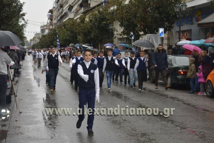 alexandriamou.gr_1parelasi1000166