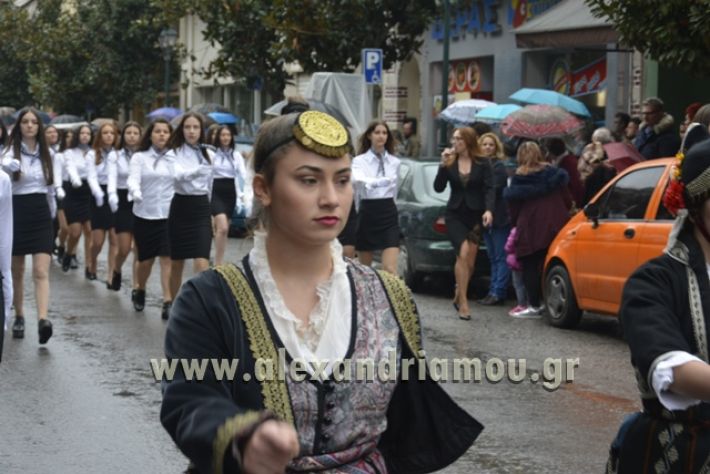 alexandriamou.gr_1parelasi1000192