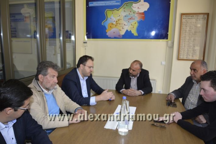 alexandriamou_THEOHAROPOULOS_ALEXANDREIA019