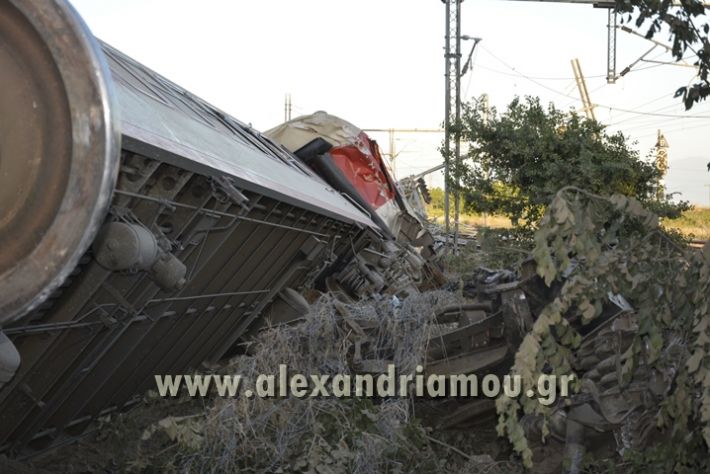 alexandriamou_treno_adentro2021