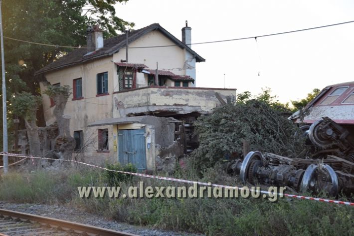 alexandriamou_treno_adentro2061