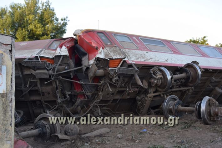 alexandriamou_treno_adentro2081