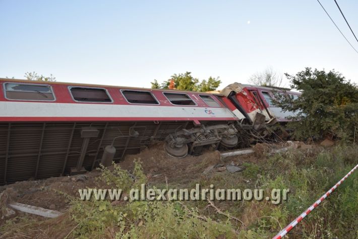 alexandriamou_treno_adentro2135