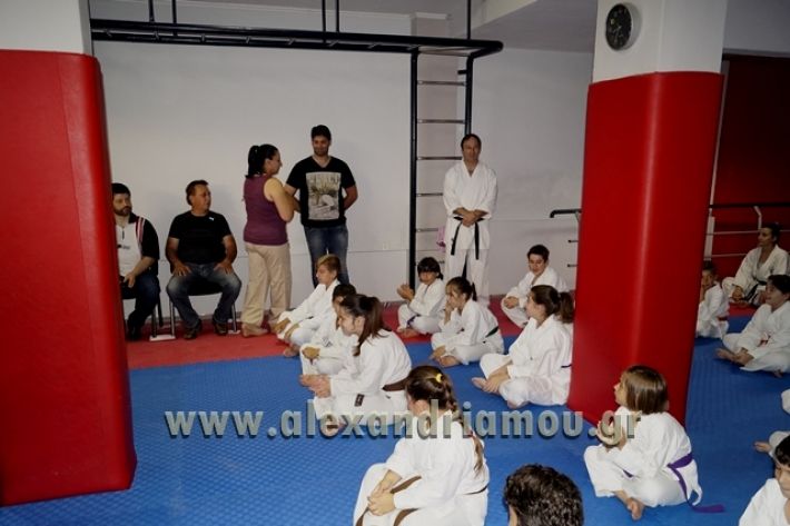 SHOTOKAN_KARATE_ALEXANDREIA001