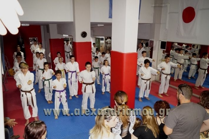 SHOTOKAN_KARATE_ALEXANDREIA003