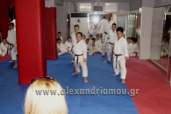 SHOTOKAN_KARATE_ALEXANDREIA005